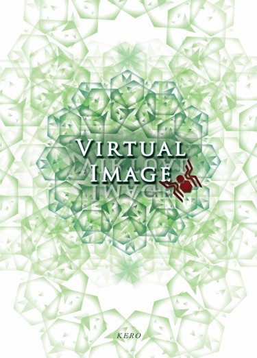 《Virtual Image》
