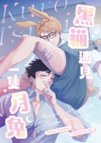 黑貓遇見一隻月兔
