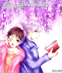 You are my Destiny