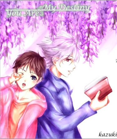 You are my Destiny