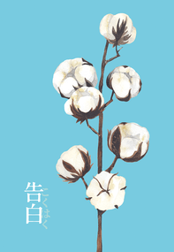 告白