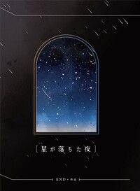 星が落とした夜