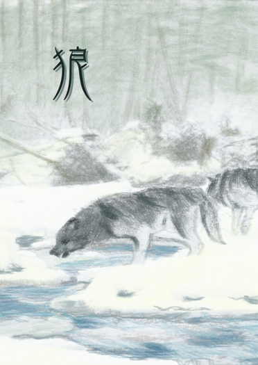 狼
