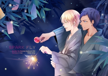 Spark Fly