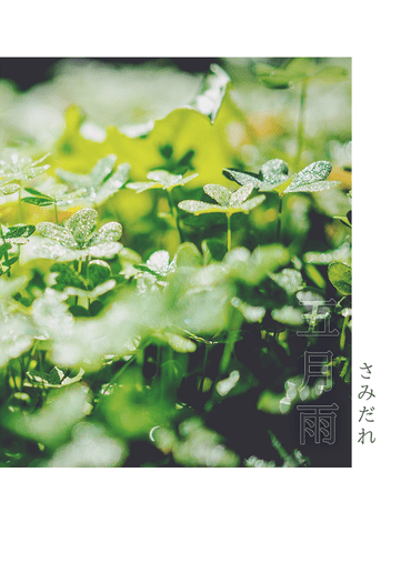 五月雨
