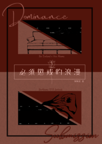 必須懲戒的浪漫