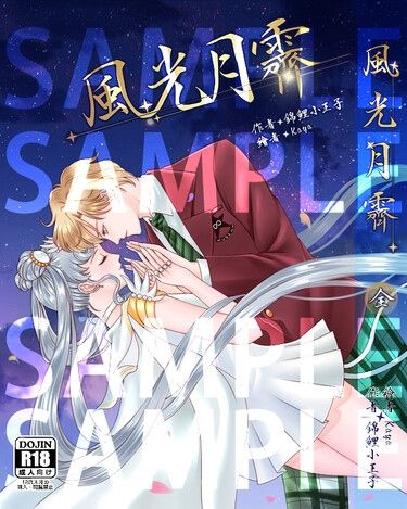 美少女戰士 遙兔 天月 遙月 天王遙 月野兔 同人小說 風光月霽