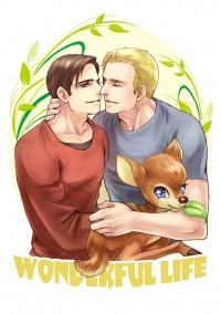 Wonderful life