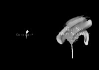 Give You What You Want