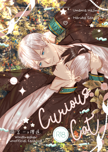 【防風少年｜梅櫻】curious cat