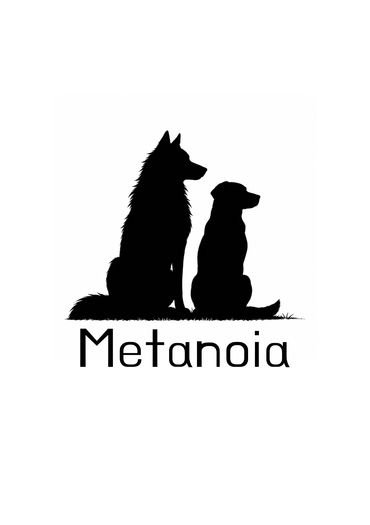 Metanoia 封面圖