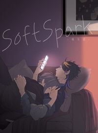 SoftSpark-後日談