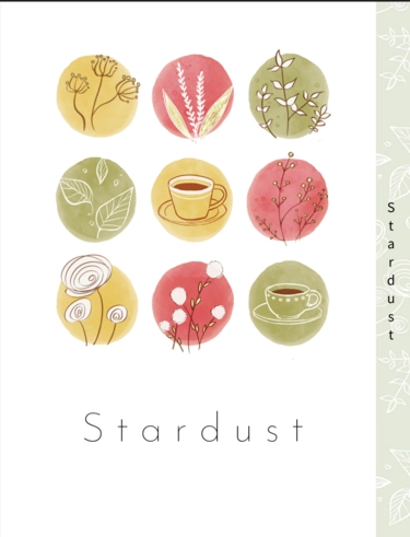 Stardust 封面圖