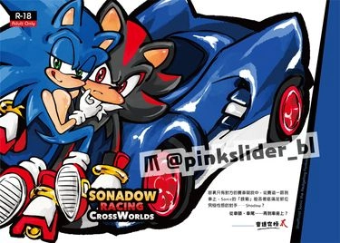 索夏賽車 交叉世界 Sonadow Racing Crossworlds 封面圖
