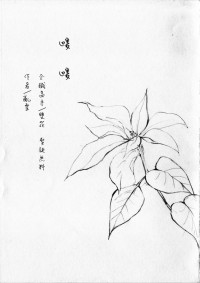 暖暖