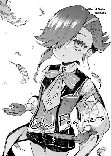 Owl Feathers