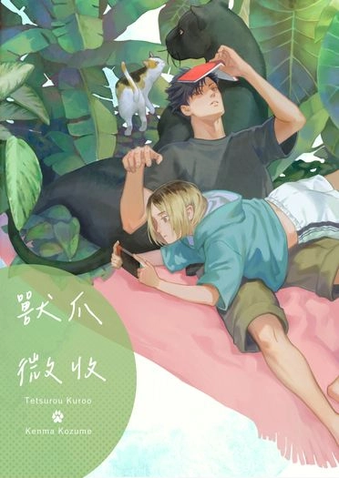 獸爪微收 封面圖