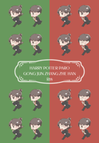 HARRY POTTER JZ PARO