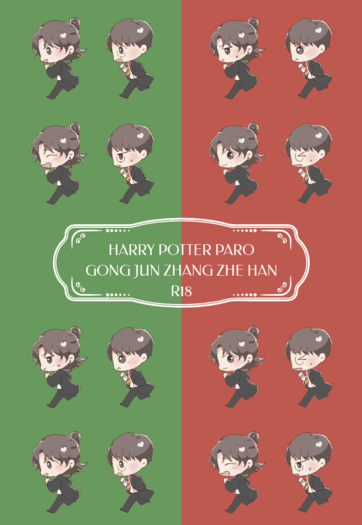 HARRY POTTER JZ PARO