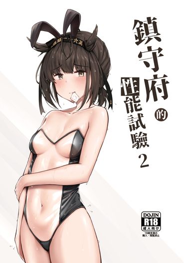 鎮守府的性能試驗 2