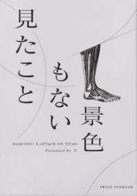 【排球少年/岩及】見たこともない景色