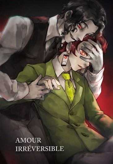 Amour Irréversible