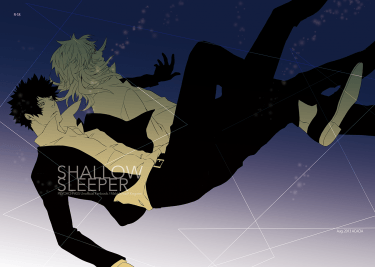 SHALLOW SLEEPER