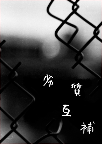 喬莫小說本《劣質互補》