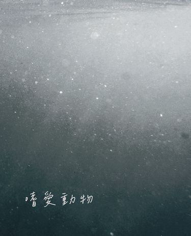 【Noctyx：SonnyBan】嗜愛動物