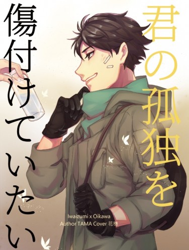 【HQ｜岩及】君の孤独を傷付けていたい