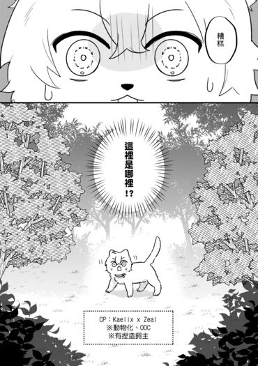 kaezeal貓貓小料本