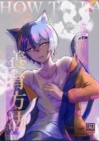 貓貓的養育方法