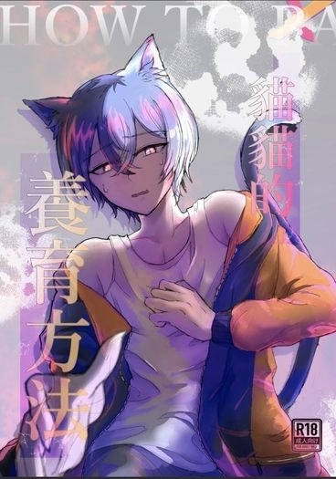 貓貓的養育方法 封面圖