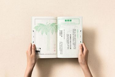 【原創畢業製作設計】◆蕨子蕨孫介紹小冊◆
