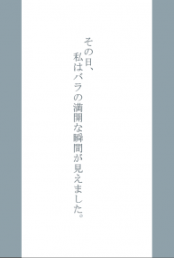 那天，我看見了玫瑰盛開的瞬間。