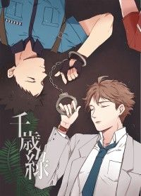 【HQ｜岩及】千歲綠