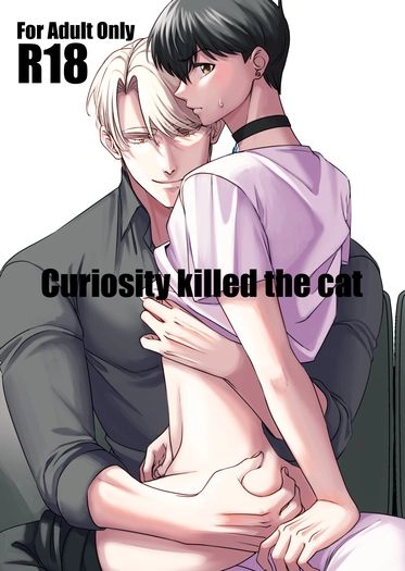 Curiosity killed the cat 封面圖