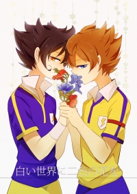 白い世界に二色の花を