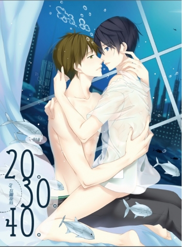 Free!男子游泳部 真遙 20.30.40 小說本 付特典明信片 真琴x遙