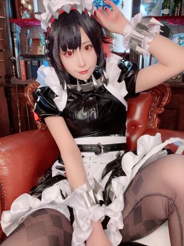 ZZZ 絕區零 cosplaybook