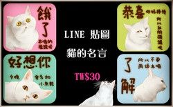 貓的名言