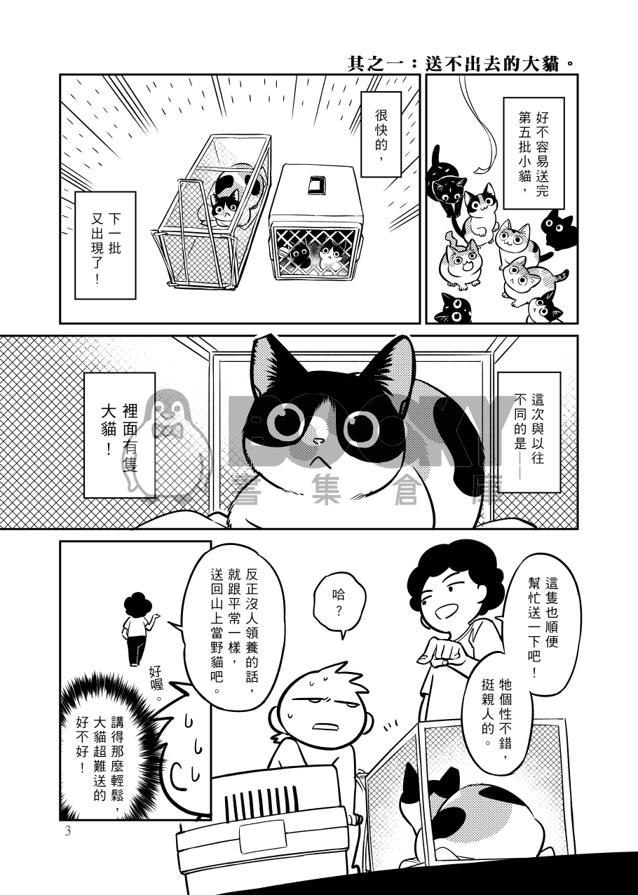 頸椎骨折實驗記錄報告─貓咪與他們的產地4 試閱圖片