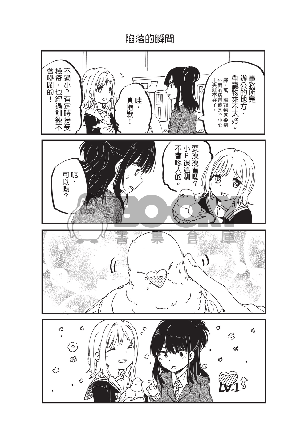 illumine&P 試閱圖片