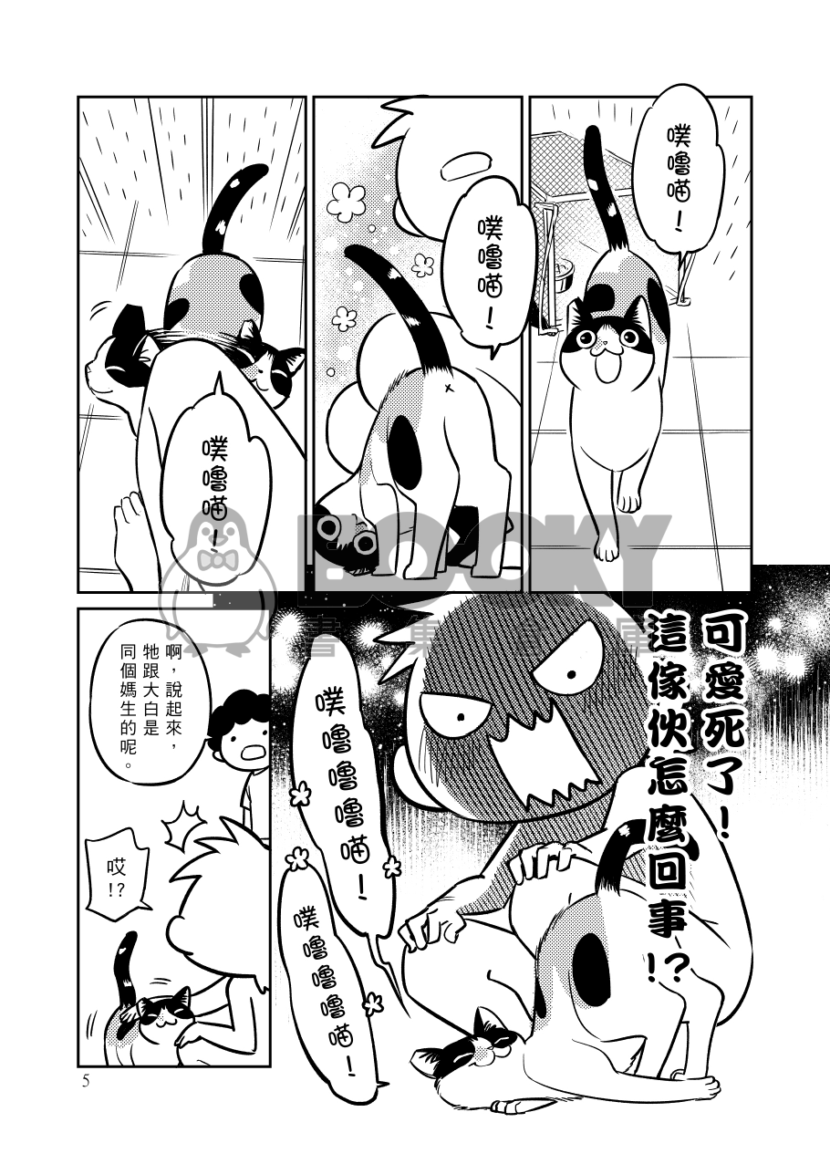頸椎骨折實驗記錄報告─貓咪與他們的產地4 試閱圖片