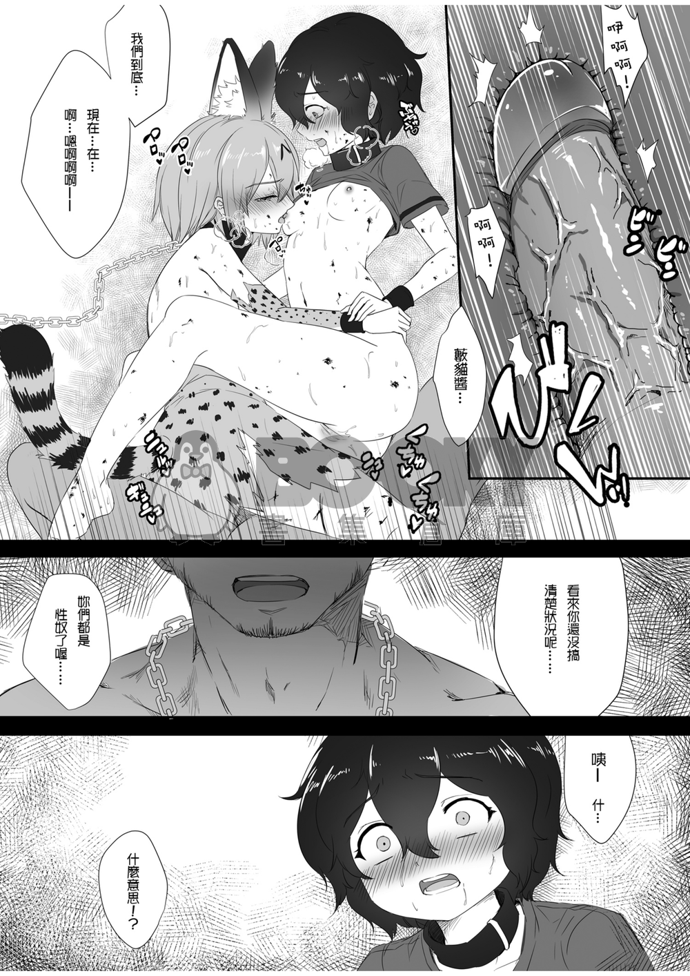JAPARI ACUTION 試閱圖片