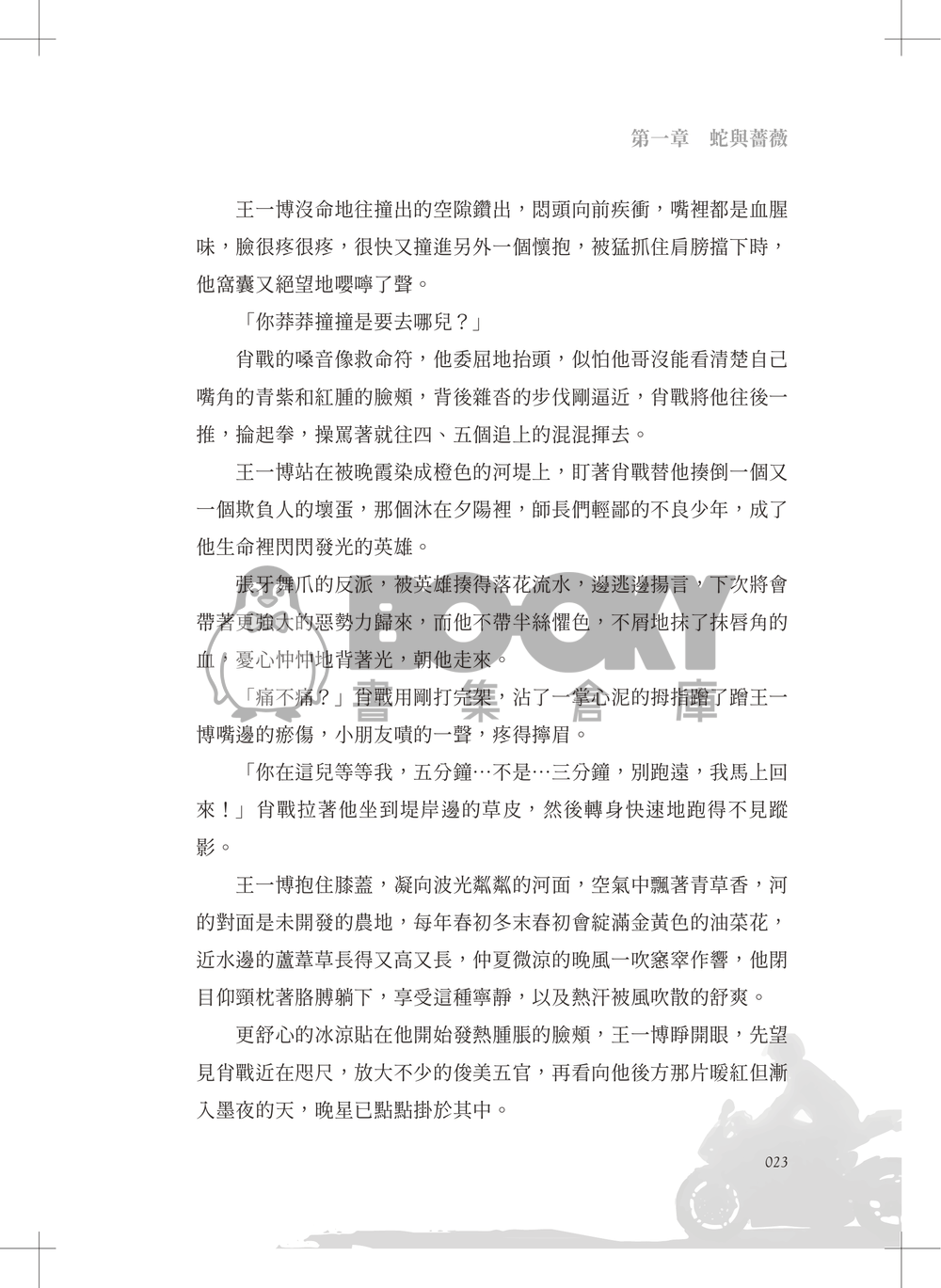孤勇 試閱圖片