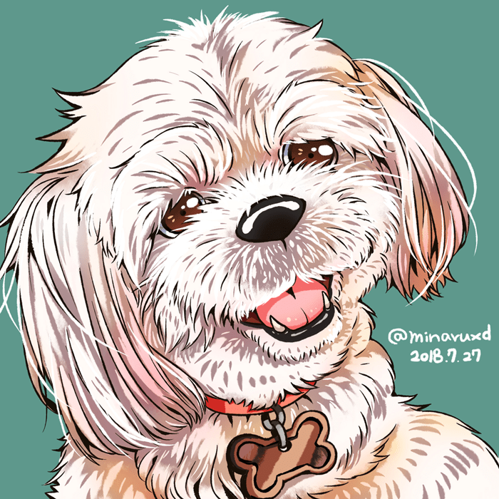西施犬