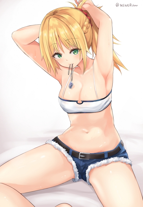 FGO 莫德雷德
