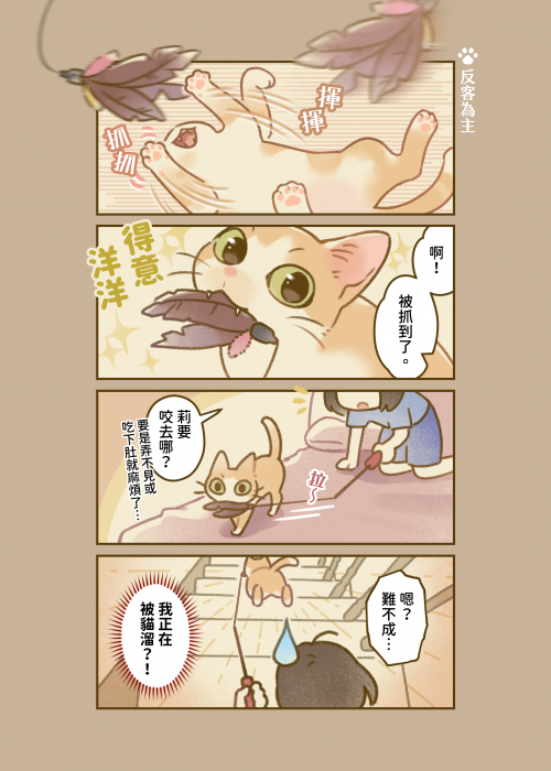 被貓遛
