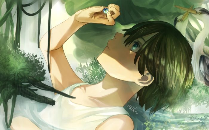 夏日荷葉下